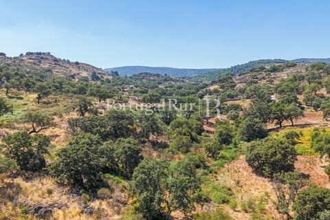 Gård i Castelo de Vide, Portalegre, Castelo de Vide - € 200 000 | Ref: FG151 - foto 30