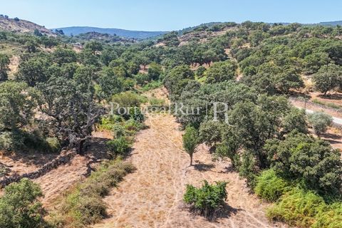 Gård i Castelo de Vide, Portalegre, Castelo de Vide - € 200 000 | Ref: FG151 - foto 31
