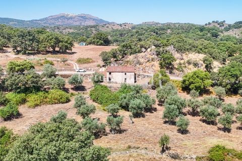 Gård i Castelo de Vide, Portalegre, Castelo de Vide - € 200 000 | Ref: FG151 - foto 32