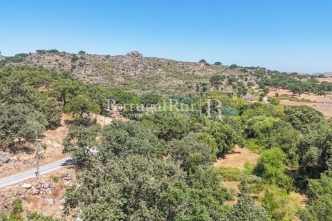 Gård i Castelo de Vide, Portalegre, Castelo de Vide - € 200 000 | Ref: FG151 - foto 33