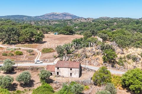 Gård i Castelo de Vide, Portalegre, Castelo de Vide - € 200 000 | Ref: FG151 - foto 34