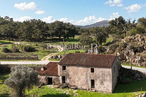 Gård i Castelo de Vide, Portalegre, Castelo de Vide - € 200 000 | Ref: FG151 - foto 3