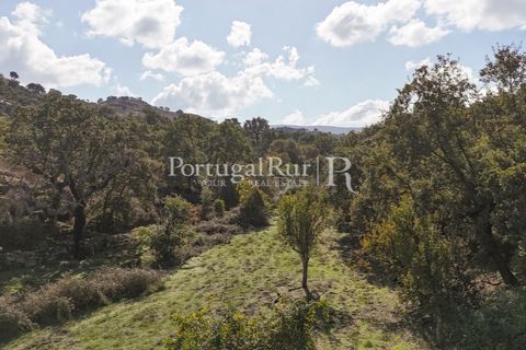 Gård i Castelo de Vide, Portalegre, Castelo de Vide - € 200 000 | Ref: FG151 - foto 35