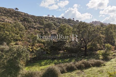 Gård i Castelo de Vide, Portalegre, Castelo de Vide - € 200 000 | Ref: FG151 - foto 36