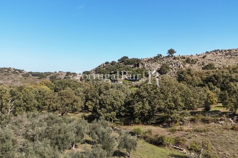 Gård i Castelo de Vide, Portalegre, Castelo de Vide - € 200 000 | Ref: FG151 - foto 37