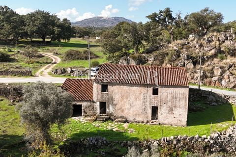 Gård i Castelo de Vide, Portalegre, Castelo de Vide - € 200 000 | Ref: FG151 - foto 39