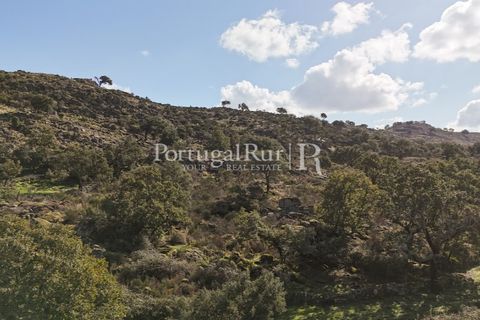 Gård i Castelo de Vide, Portalegre, Castelo de Vide - € 200 000 | Ref: FG151 - foto 40