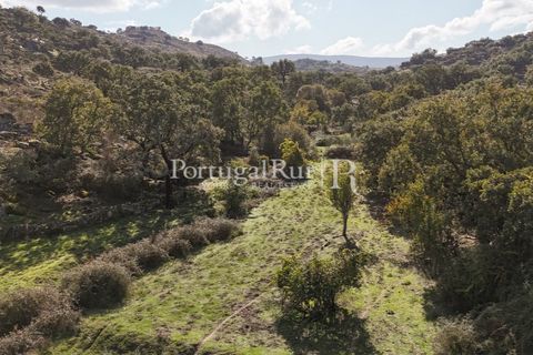 Gård i Castelo de Vide, Portalegre, Castelo de Vide - € 200 000 | Ref: FG151 - foto 41