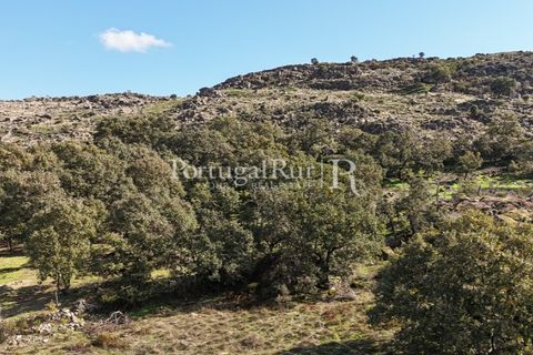 Gård i Castelo de Vide, Portalegre, Castelo de Vide - € 200 000 | Ref: FG151 - foto 42