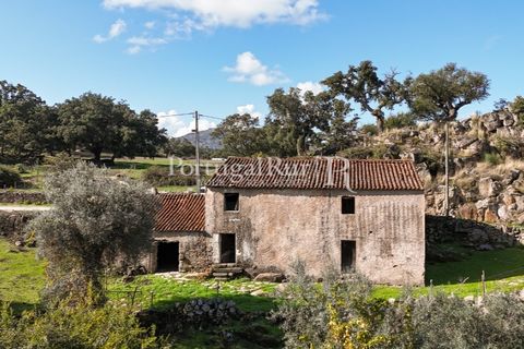 Gård i Castelo de Vide, Portalegre, Castelo de Vide - € 200 000 | Ref: FG151 - foto 43
