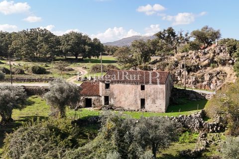 Gård i Castelo de Vide, Portalegre, Castelo de Vide - € 200 000 | Ref: FG151 - foto 44