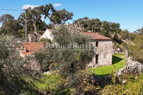 Gård i Castelo de Vide, Portalegre, Castelo de Vide - € 200 000 | Ref: FG151 - foto 45