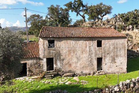 Gård i Castelo de Vide, Portalegre, Castelo de Vide - € 200 000 | Ref: FG151 - foto 46