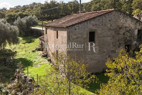 Gård i Castelo de Vide, Portalegre, Castelo de Vide - € 200 000 | Ref: FG151 - foto 47