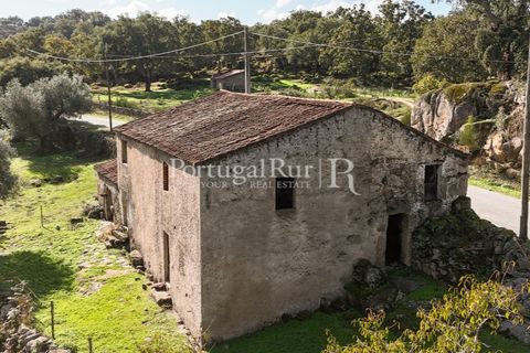 Gård i Castelo de Vide, Portalegre, Castelo de Vide - € 200 000 | Ref: FG151 - foto 48