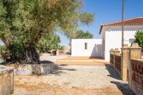 Farm i Evora, Evora, Evora - € 2.700.000 | Ref: TG3273 - foto 39