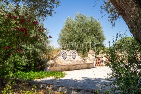Farm i Evora, Evora, Evora - € 2.700.000 | Ref: TG3273 - foto 40