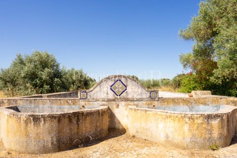 Farm i Evora, Evora, Evora - € 2.700.000 | Ref: TG3273 - foto 42