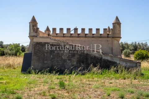 Farm i Evora, Evora, Evora - € 2.700.000 | Ref: TG3273 - foto 43