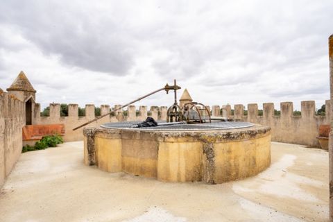 Farm i Evora, Evora, Evora - € 2.700.000 | Ref: TG3273 - foto 44