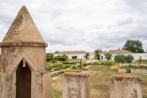 Farm i Evora, Evora, Evora - € 2.700.000 | Ref: TG3273 - foto 47