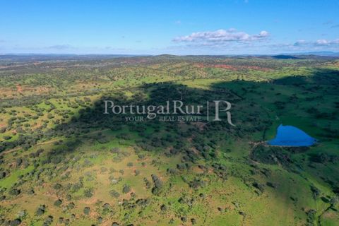 Landejendom i Evora, Evora, Evora - € 7.500.000 | Ref: TG3258 - foto 2