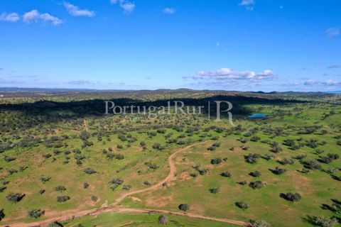 Landejendom i Evora, Evora, Evora - € 7.500.000 | Ref: TG3258 - foto 3