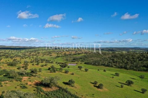 Landejendom i Evora, Evora, Evora - € 7.500.000 | Ref: TG3258 - foto 4