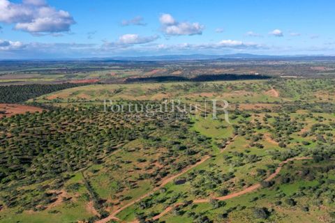 Landejendom i Evora, Evora, Evora - € 7.500.000 | Ref: TG3258 - foto 6