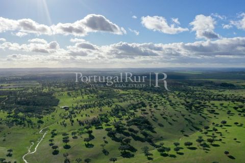 Landejendom i Evora, Evora, Evora - € 7.500.000 | Ref: TG3258 - foto 7