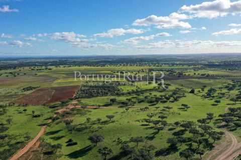 Landejendom i Evora, Evora, Evora - € 7.500.000 | Ref: TG3258 - foto 8