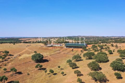 Landejendom i Evora, Evora, Evora - € 7.500.000 | Ref: TG3258 - foto 9