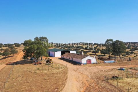 Landejendom i Evora, Evora, Evora - € 7.500.000 | Ref: TG3258 - foto 10