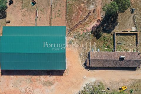 Landejendom i Evora, Evora, Evora - € 7.500.000 | Ref: TG3258 - foto 12