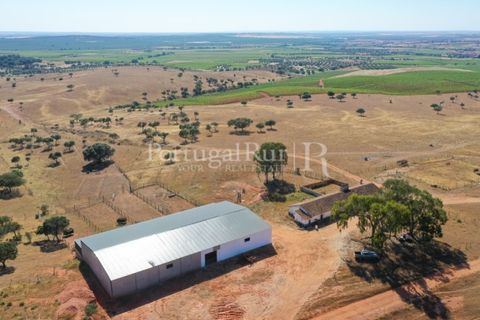 Landejendom i Evora, Evora, Evora - € 7.500.000 | Ref: TG3258 - foto 13