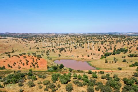 Landejendom i Evora, Evora, Evora - € 7.500.000 | Ref: TG3258 - foto 14