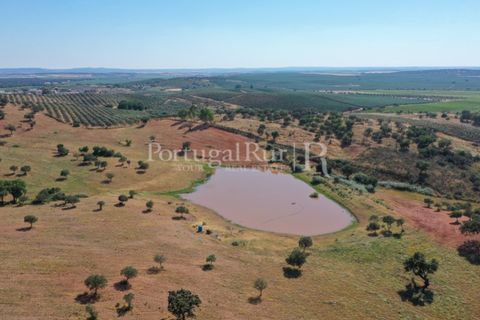 Landejendom i Evora, Evora, Evora - € 7.500.000 | Ref: TG3258 - foto 15