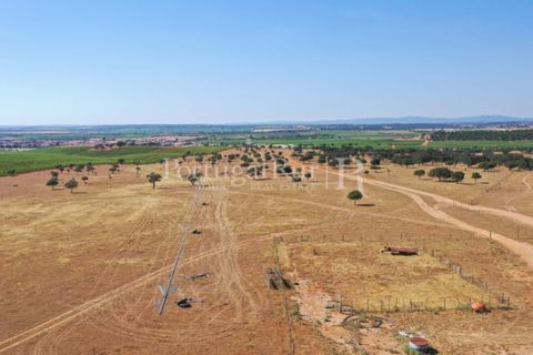 Landejendom i Evora, Evora, Evora - € 7.500.000 | Ref: TG3258 - foto 18