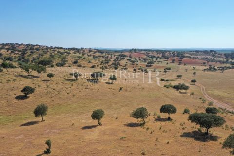 Landejendom i Evora, Evora, Evora - € 7.500.000 | Ref: TG3258 - foto 19