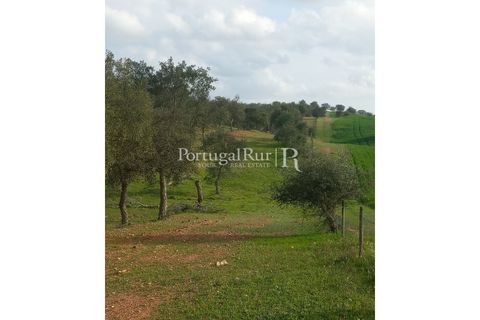 Terra a Serpa, Beja, Serpa - € 60.000 | Ref: JR693-3 - foto 4