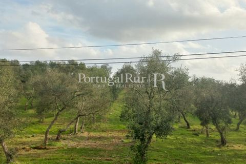 Helårsgrund i Serpa, Beja, Serpa - € 90.000 | Ref: JR693-2 - foto 3