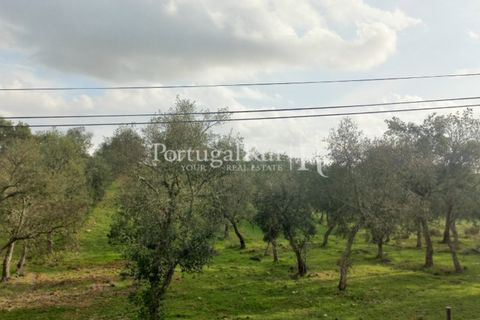 Helårsgrund i Serpa, Beja, Serpa - € 90.000 | Ref: JR693-2 - foto 8