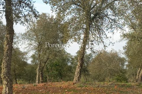 Helårsgrund i Serpa, Beja, Serpa - € 150.000 | Ref: JR693-1 - foto 1