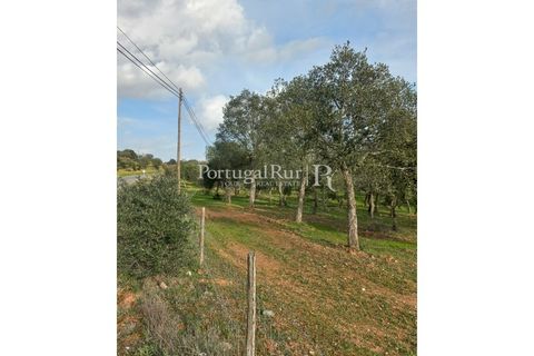 Helårsgrund i Serpa, Beja, Serpa - € 150.000 | Ref: JR693-1 - foto 5