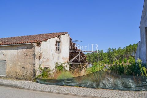 Landejendom i Proenca-a-Nova, Castelo Branco, Proenca-a-Nova - € 31.500 | Ref: SA386 - foto 2
