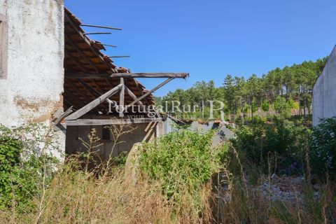 Landejendom i Proenca-a-Nova, Castelo Branco, Proenca-a-Nova - € 31.500 | Ref: SA386 - foto 3