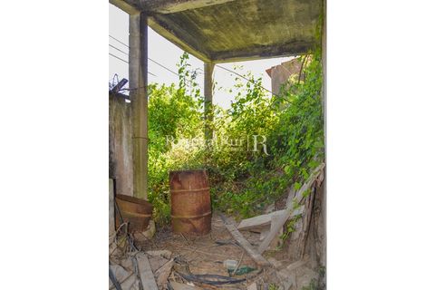 Landejendom i Proenca-a-Nova, Castelo Branco, Proenca-a-Nova - € 31.500 | Ref: SA386 - foto 5