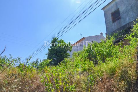 Landejendom i Proenca-a-Nova, Castelo Branco, Proenca-a-Nova - € 31.500 | Ref: SA386 - foto 6