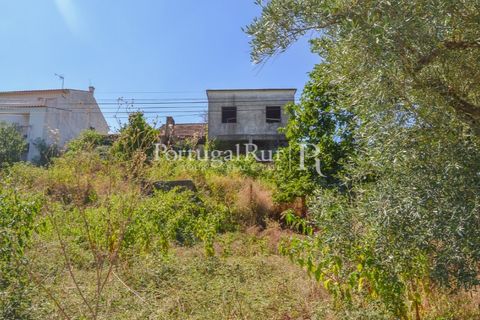 Landejendom i Proenca-a-Nova, Castelo Branco, Proenca-a-Nova - € 31.500 | Ref: SA386 - foto 7
