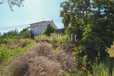 Landejendom i Proenca-a-Nova, Castelo Branco, Proenca-a-Nova - € 31.500 | Ref: SA386 - foto 8